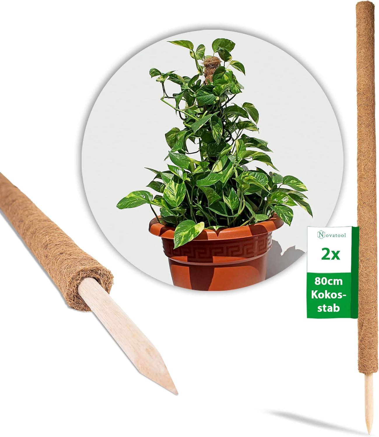 4 estacas soporte planta material natural 80 cm Ø 45 mm fibra natural ...