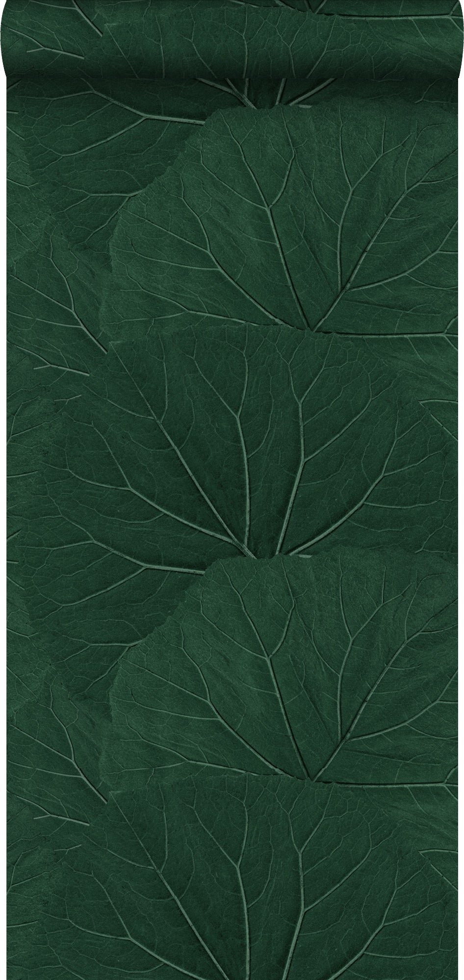 Papel pintado hojas grandes verde esmeralda - 0,53 x 10,05 m - estahome