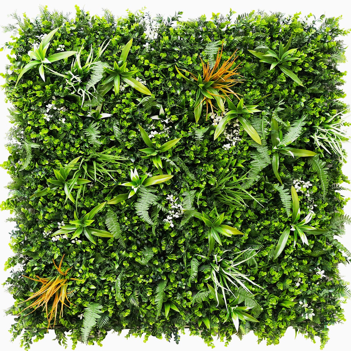 Mur Vegetal Savane decoration murale interieure plaque de 1m x 1m - 12