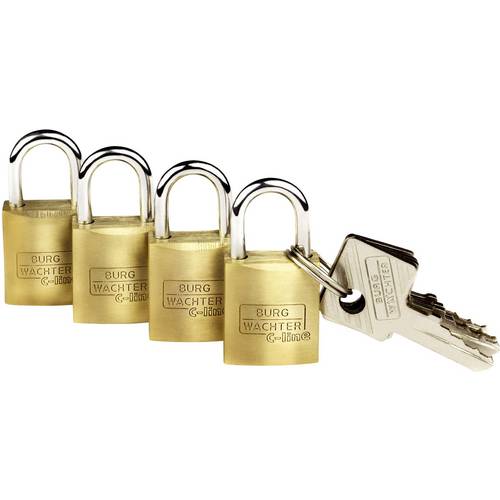 Buy Burg Wächter 4481 Keyhole lock Electronic