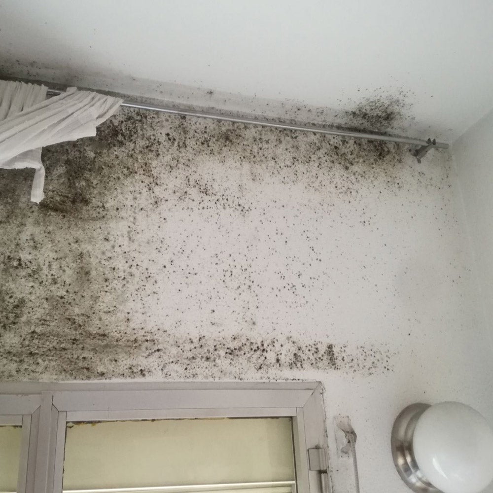 Peinture Isolante Thermique Anti-condensation pour Intérieur (15L - CARTE RAL) - Casse les ponts thermiques et améliore la température intérieure - 7