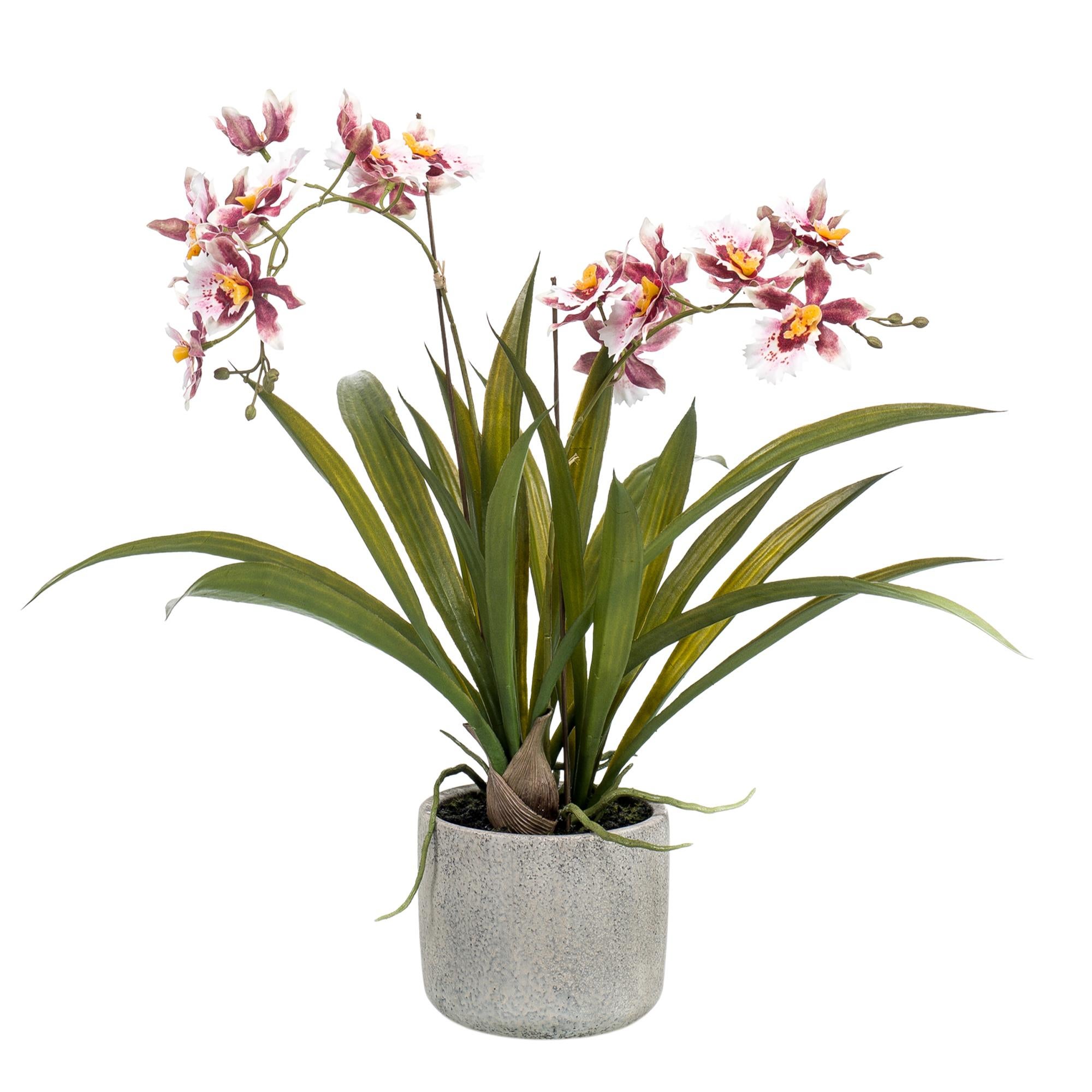 Plante artificielle orchidée bordeaux hauteur 45 cm– ComfortXL Green - 3