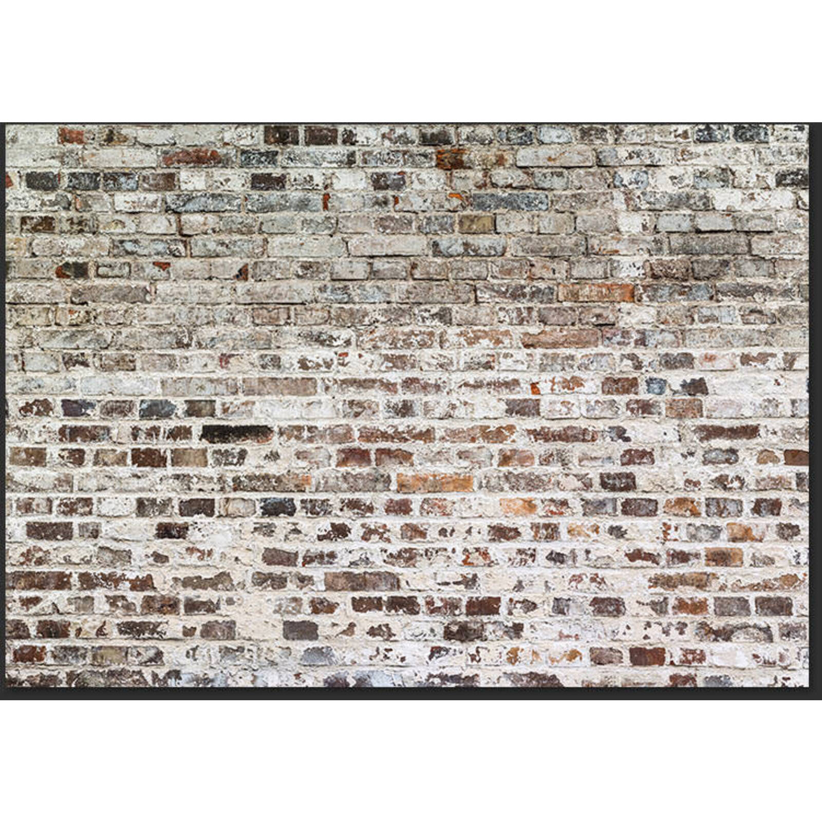 Papier peint vieux murs - 200 x 140 cm - 2