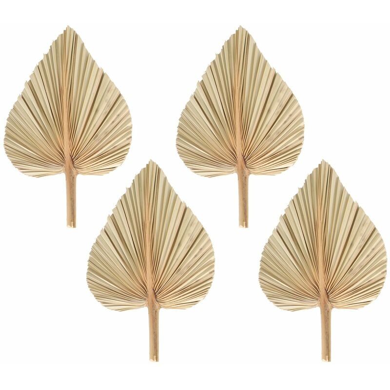 4 PièCes Feuilles de Palmier SéChéEs éVentails de Palmiers SéChéS BohèMe Lances de Palmier SéChéEs Plantes Artificielles Feuilles - 2