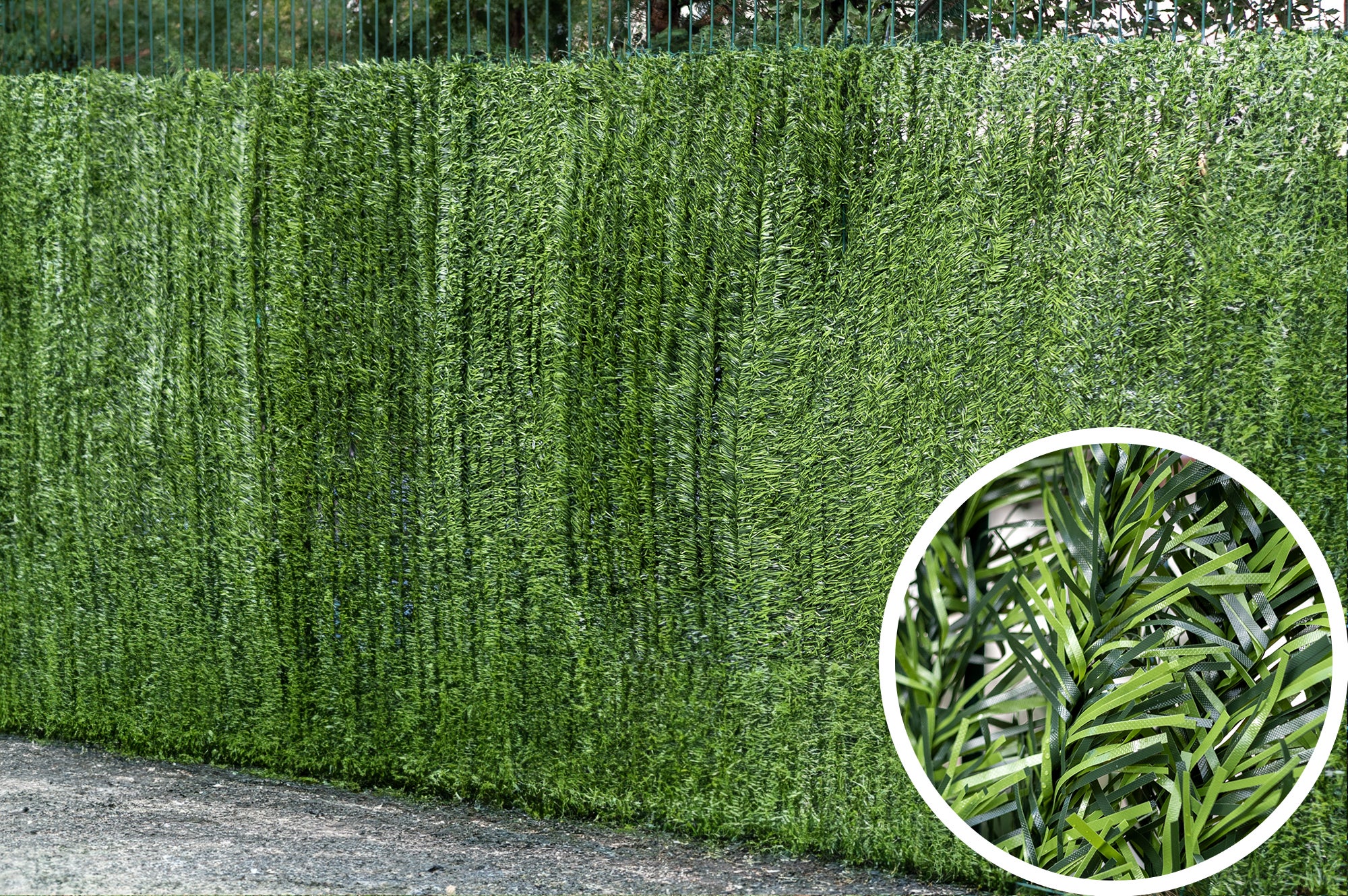 Siepe Artificiale PICO 1,5mx3m Rete Frangivista 85% Oscurante - 5