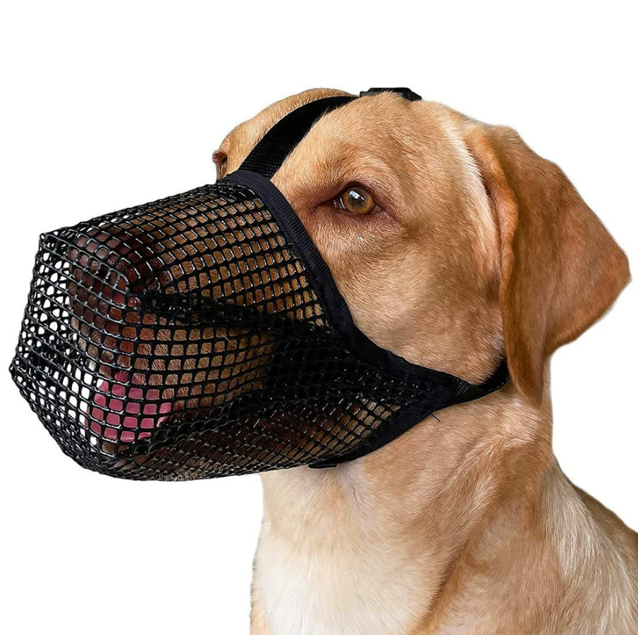 Muselière Pour Chien Ajustable En PU - Taille M, Noir, Respirante, Pour Petits Et Moyens Chiens