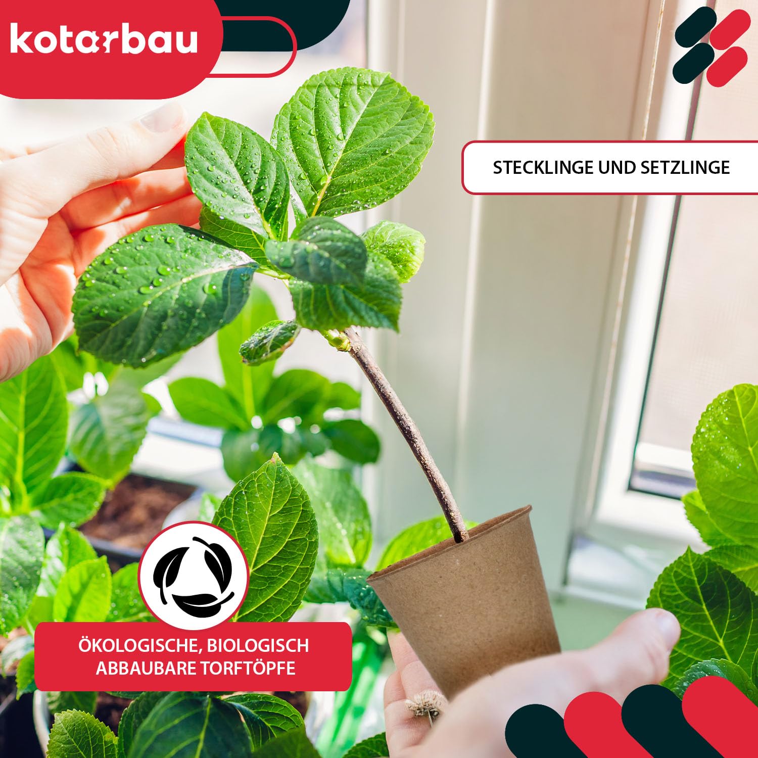 Lotto da 60 vasi per coltivazione - KOTARBAU - 2