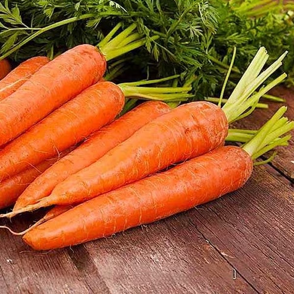 Carottes pour Pots Profonds - 200 Graines - Variété Naine pour Balcon et Terrasse - Culture Facile de Légumes - 5