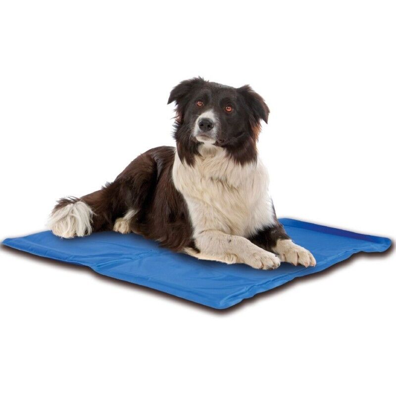 COLCHONETA CUNA REFRESCANTE FRESCO REFRIGERANTE 50X40 PERRO GATO