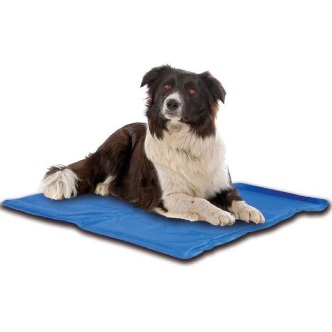 COLCHONETA CUNA REFRESCANTE FRESCO REFRIGERANTE 50X40 PERRO GATO