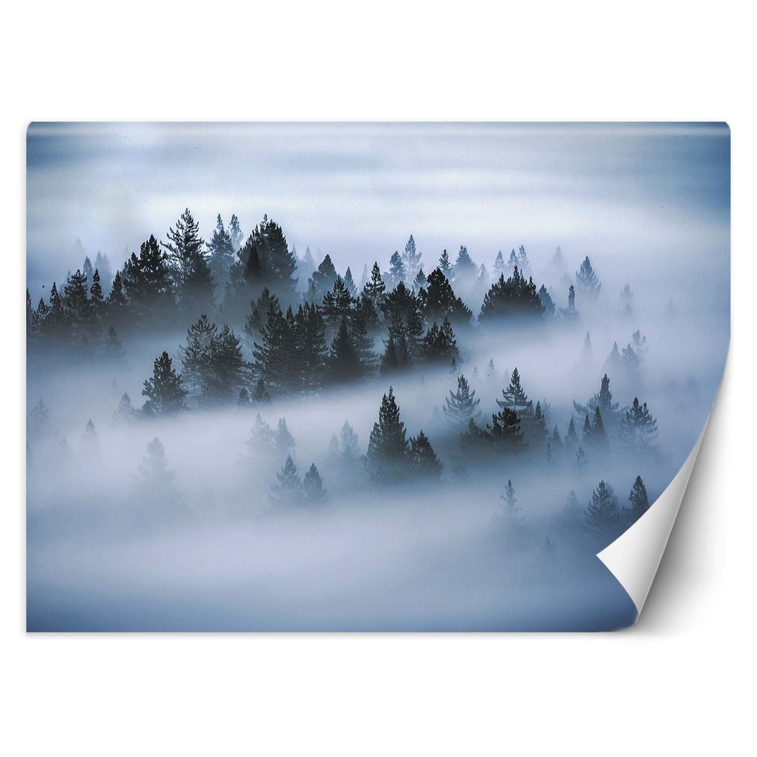 Fototapeta, Las we mgle 450x315