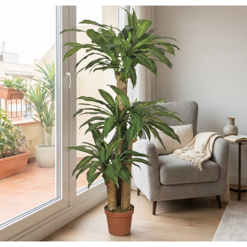 Plante Artificielle Dracaena 145cm avec pot | Plantes en plastique pour la décoration de jardin intérieur et extérieur - 4