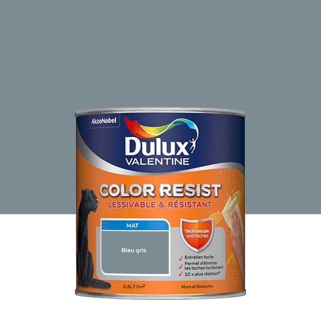 Peinture Color Resist Murs & Boiseries Bleu Gris
