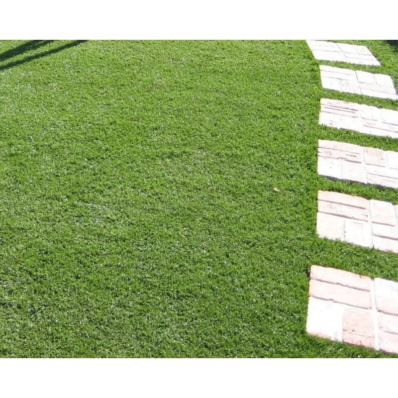 Divina Garden Prato sintetico tappeto erba finto artificiale 25 MM 2X25 MT 84823 - 8