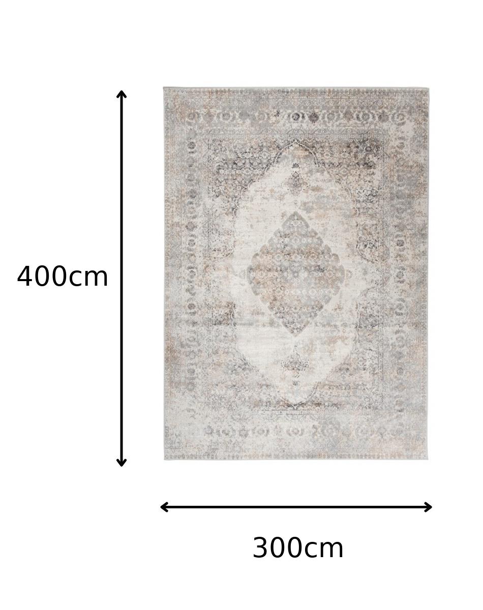 TAPISO Valley Tapis Salon Chambre Vintage Gris Beige Doux Fin 300x400 - 5