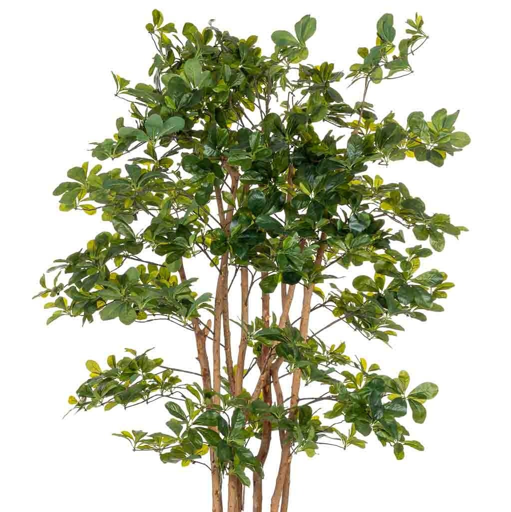 Feuille de banian artificielle décorative en pot de 40x30x180 cm - 4