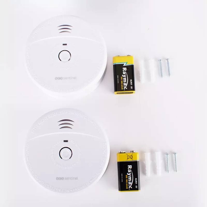 Lot de 2 détecteurs avertisseurs autonomes de fumée SmokeAlarm 5Y - 3