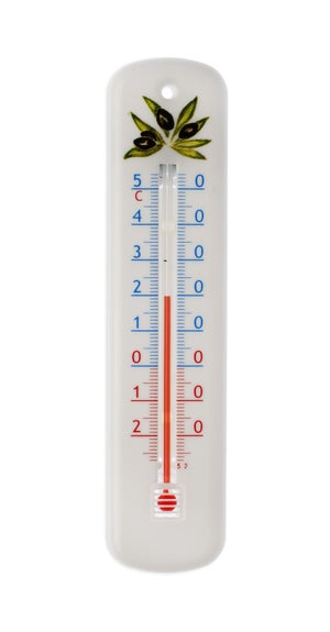 Termometro Da Parete Per Interno Ed Esterno | Doppia Scala Celsius E Fahrenheit | In Metallo Resistente 25,4 Cm