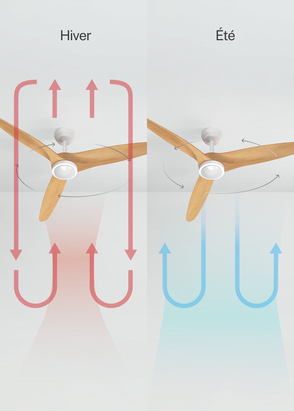 WIND CENTURY L - Ventilador de teto 40W silencioso Ø152 cm 100% madeira - Com luz - sem wifi - 3