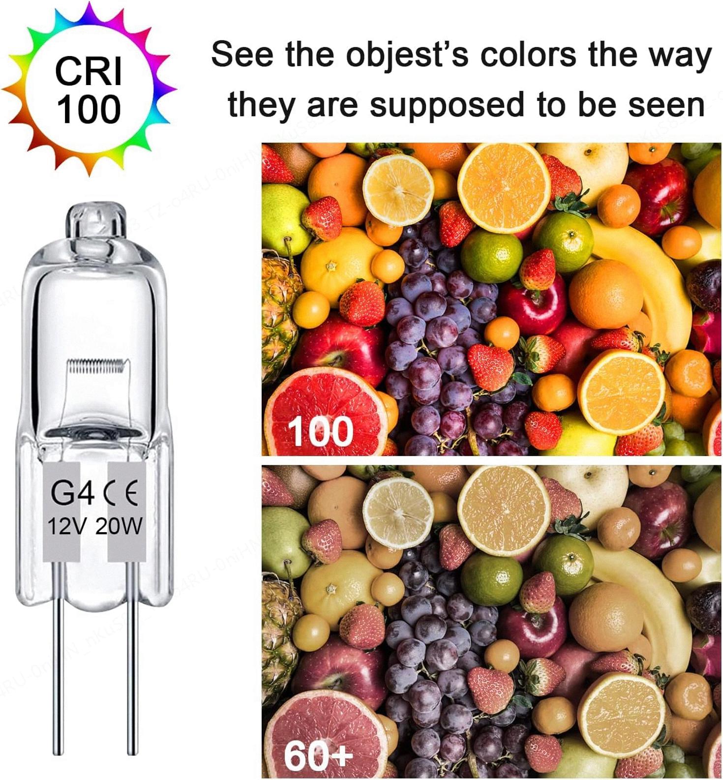 Ampoules halogènes G4 20W 12V - Lot de 10 - Basse tension - Transparentes GENERIQUE - 4