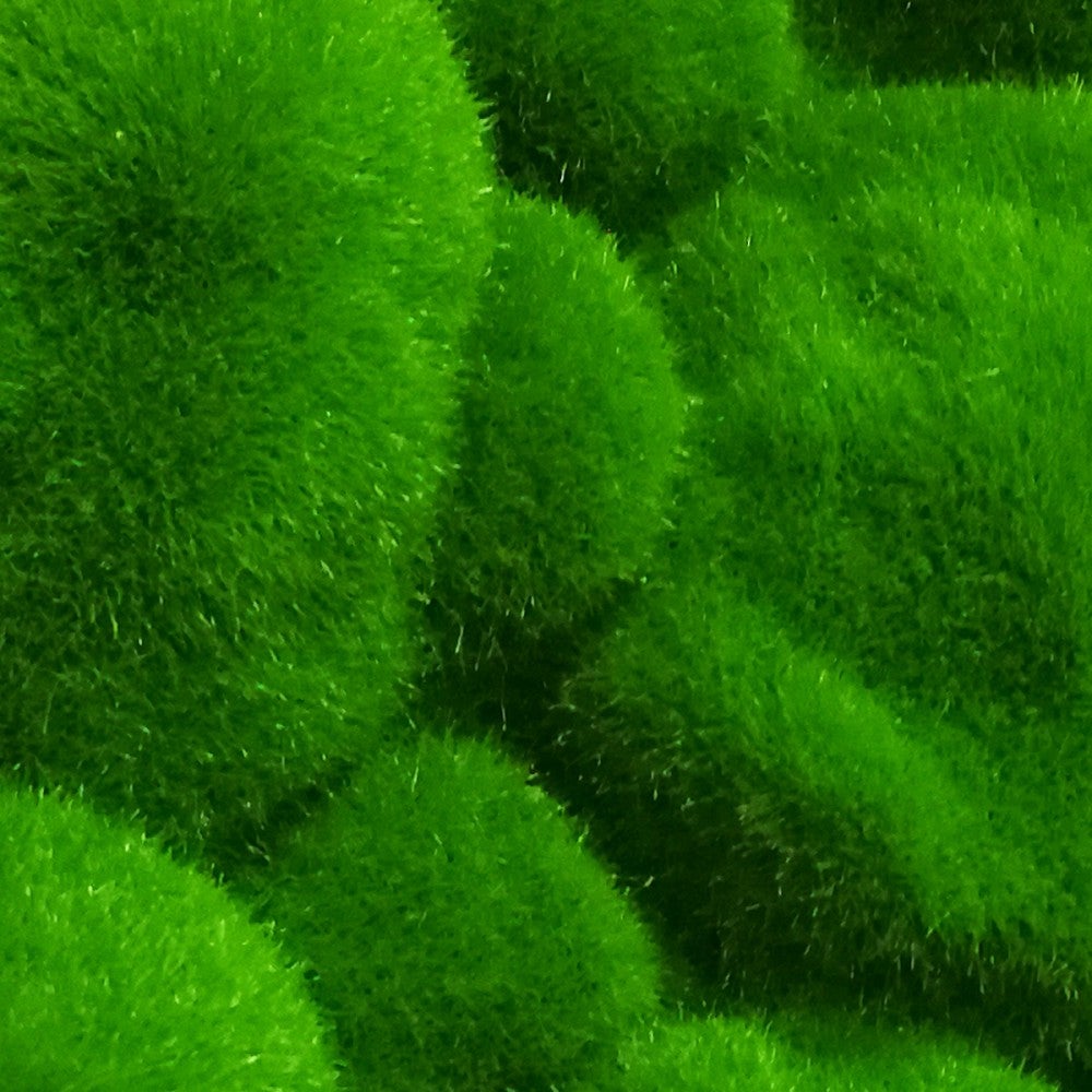 Pannello In EPS A Rilievo Finto Muschio 30x30cm - Spessore Max 3,5cm - 3