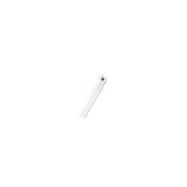 Osram LUMILUX T8 lámpara fluorescente 36 W G13 Blanco frío