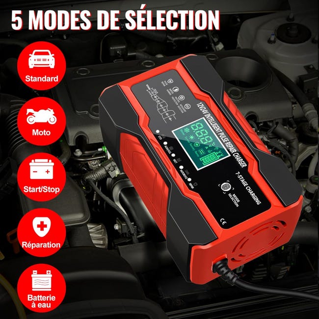 Caricabatteria Auto E Moto 12V 24V 10A 250W Automatico - Foto 2