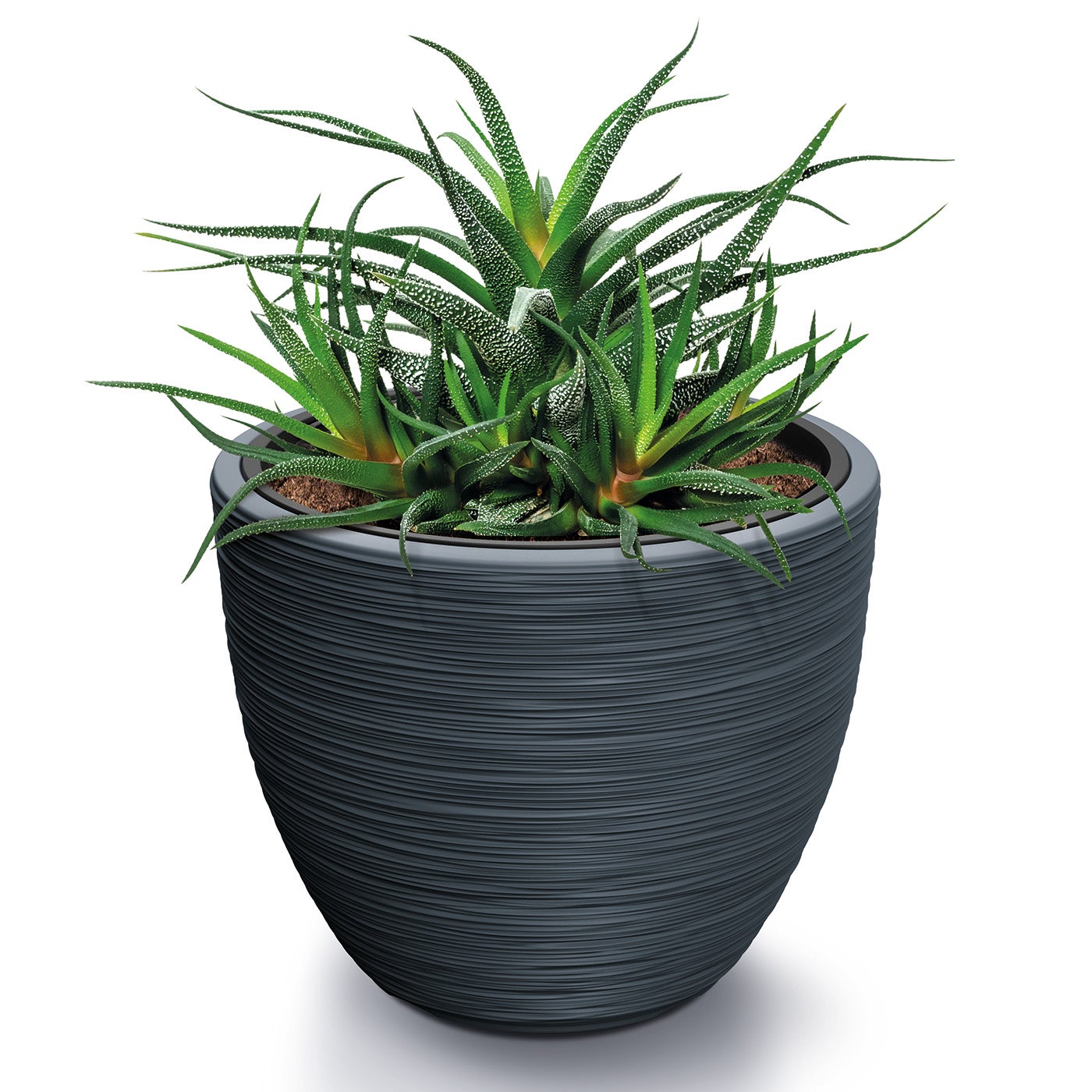 Prosperplast Wheaty DWH130-117U - Vaso Da Fiori In Plastica Resistente Ai Raggi UV - Colore Crema, Diametro 128mm