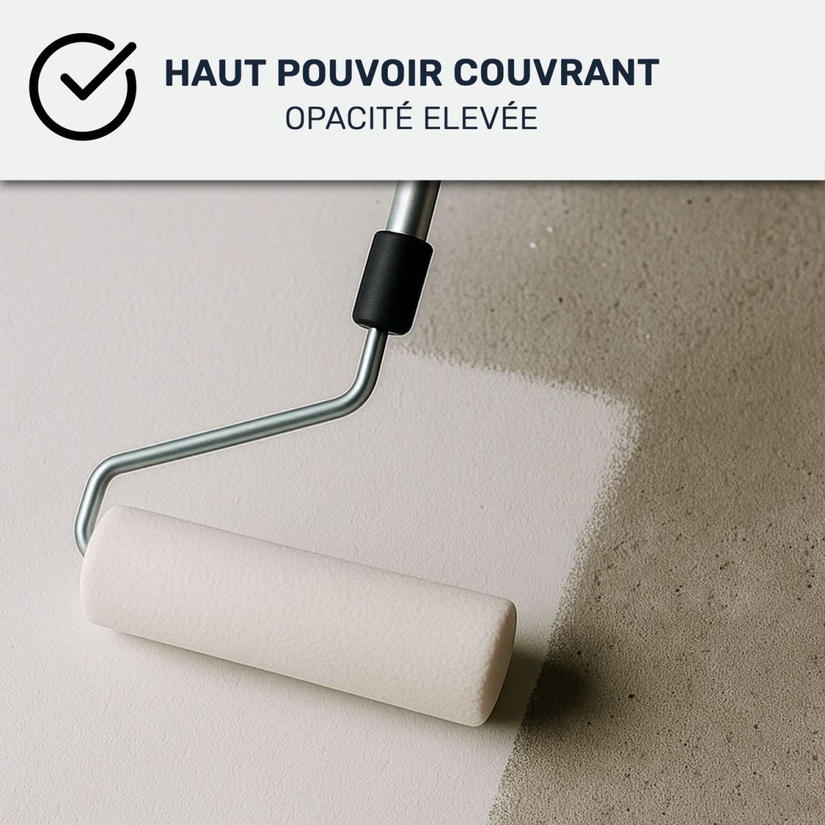 Peinture Sol ARCADÉCO : béton, bois, lino, parquet, ragréage Telegris 4 - RAL 7047 - 1 kg - ARCANE INDUSTRIES - 3