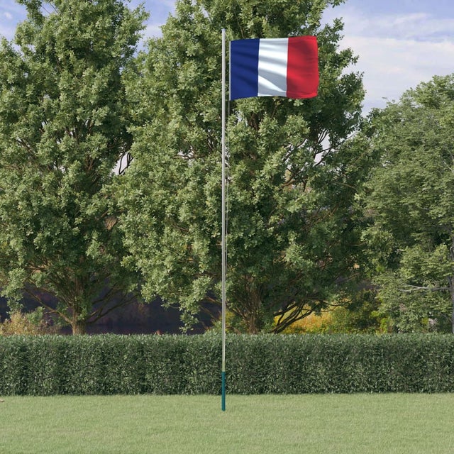 Maison Exclusive - Drapeau de la France et mât 6,23 m Aluminium