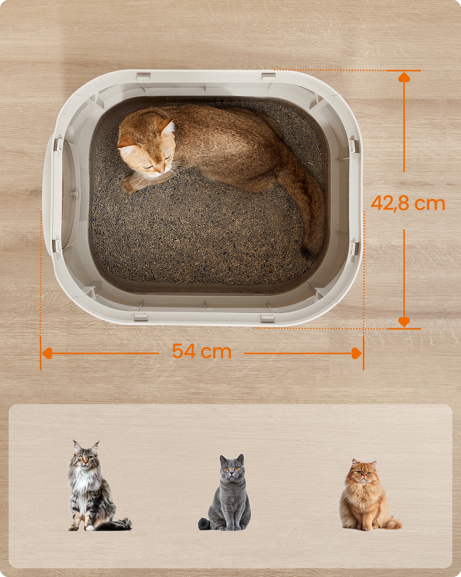 Bac à Litière, pour Chat XXL, avec Couvercle, Oatmeal et Gris Chaud - 6