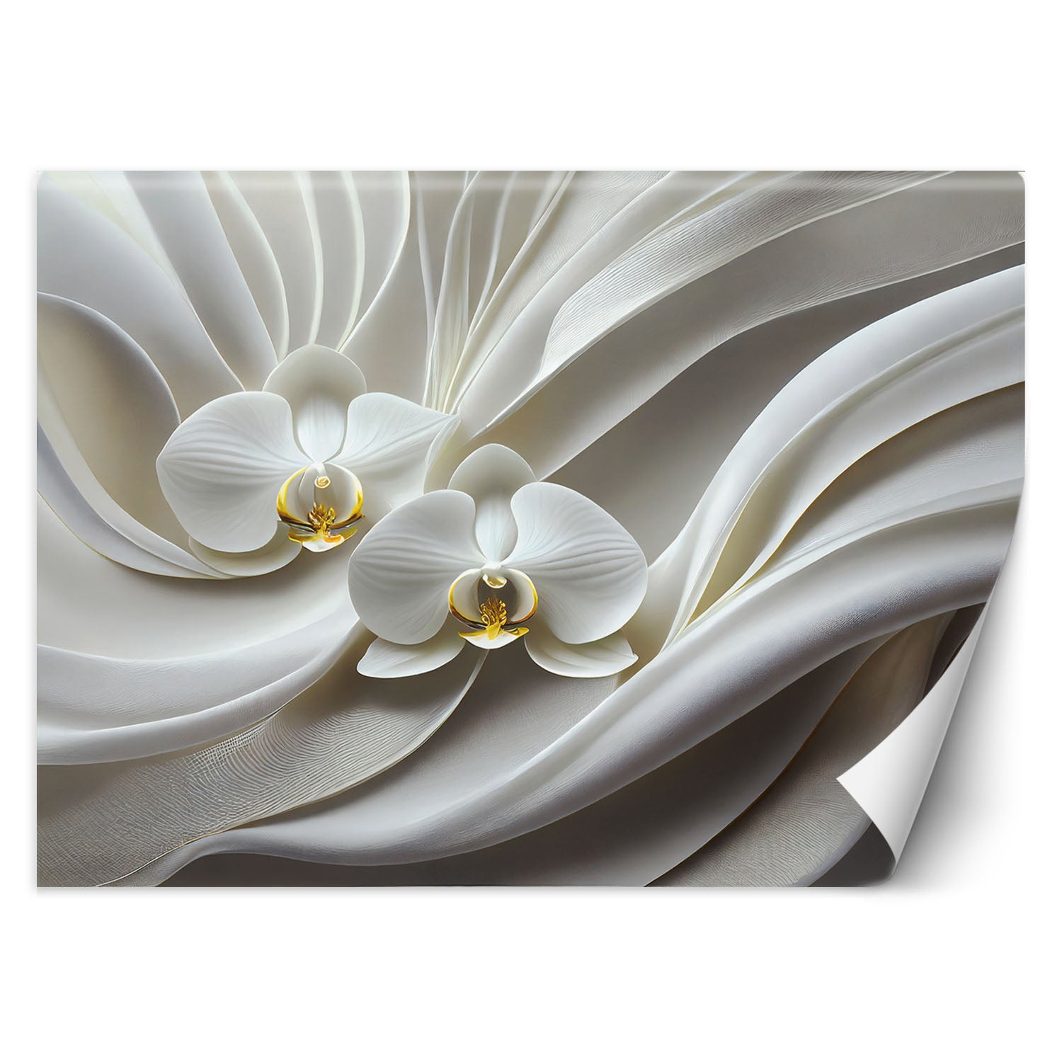 Fototapeta, Biała orchidea abstrakcja 3D 150x105