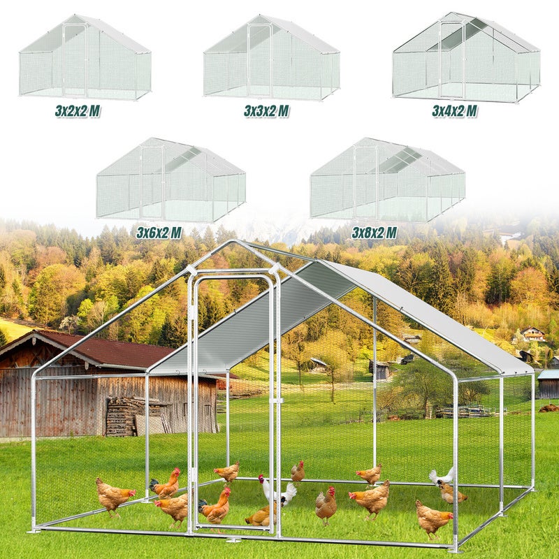 Cono In Acciaio Zincato Per Pollame | Peso Polli Da 2,7 A 6,4 Kg | Bordi Sicuri E Facile Montaggio | Per Broiler, Brahma E Razze Medie