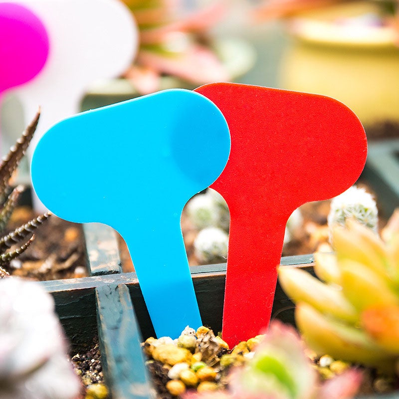 100 Targhette Segna-piante In Plastica Bianca – 10x2 Cm, Scrivibili E Resistenti Alle Intemperie, Per Giardino E Vasi