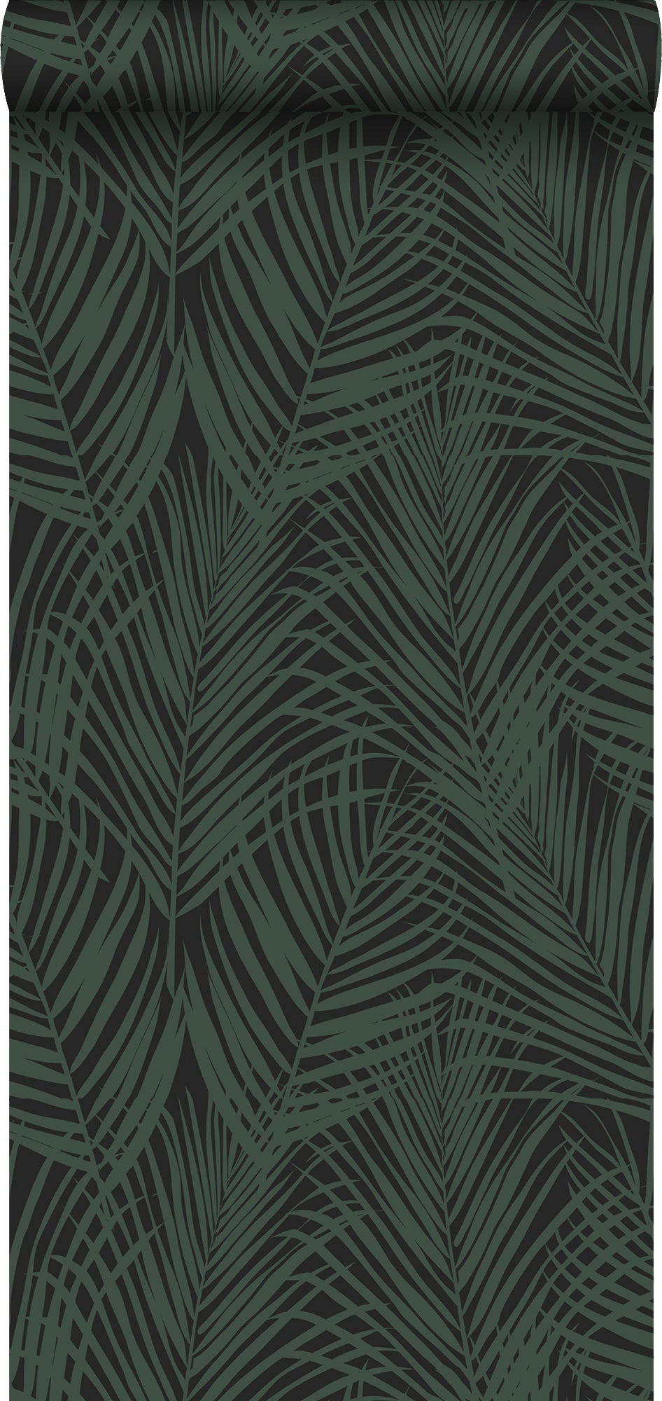 Papel pintado hojas de palmera verde oscuro y negro - 0,53 x 10,05 m - estahome
