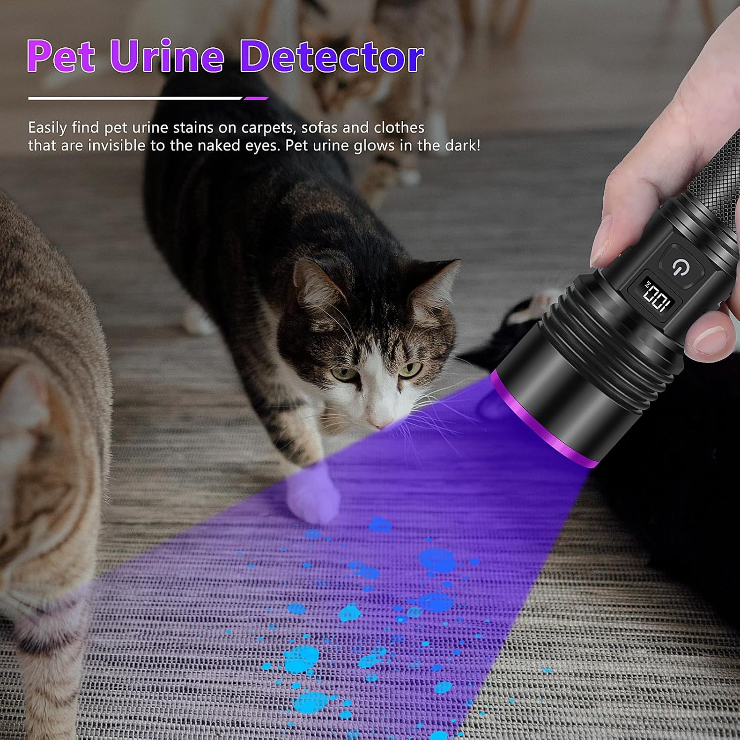 Lampe Torche UV 365nm Puissante Lumière Noire LED Lampe Wood