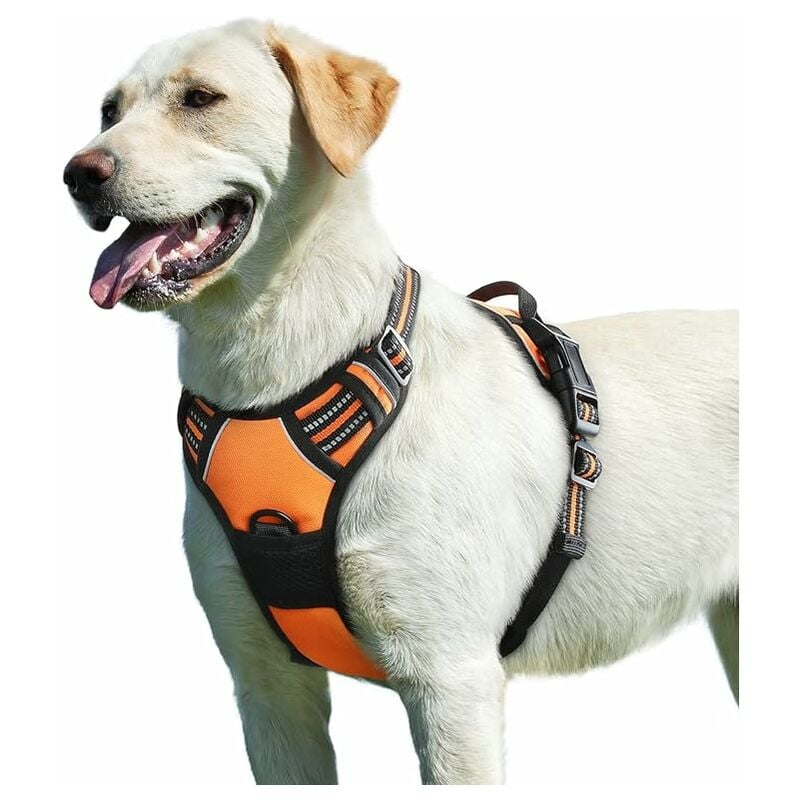 Arnés Perro Ajustable - Arnés Tipo Chaleco Para Perros - Arnés Pecho 