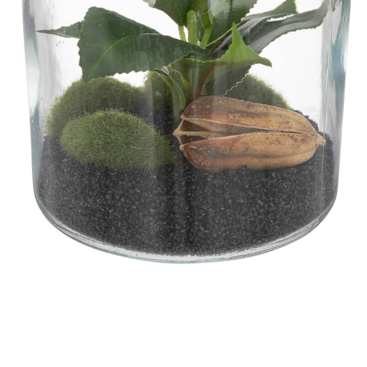 Terrarium 