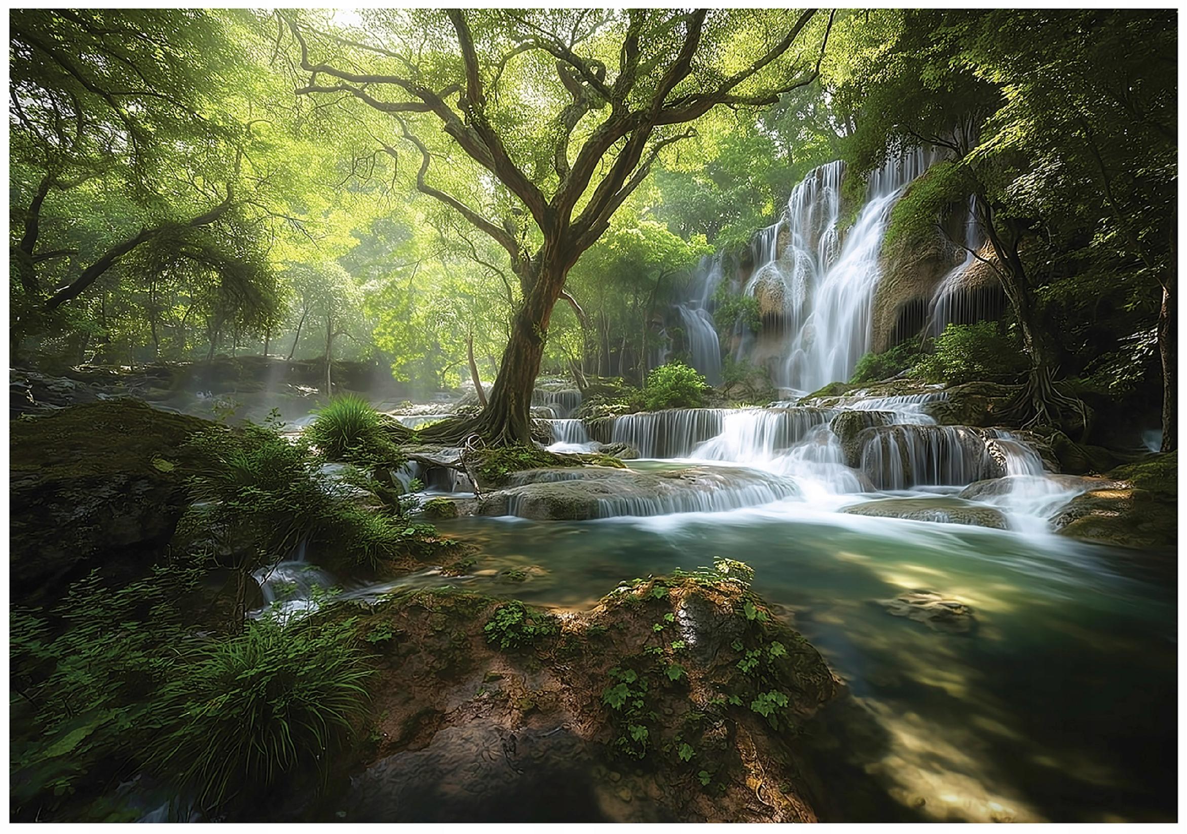 Fototapeta Las Drzewa Natura 250x175 cm Tapeta Do Sypialni Salonu Kuchni Na Flizelinie