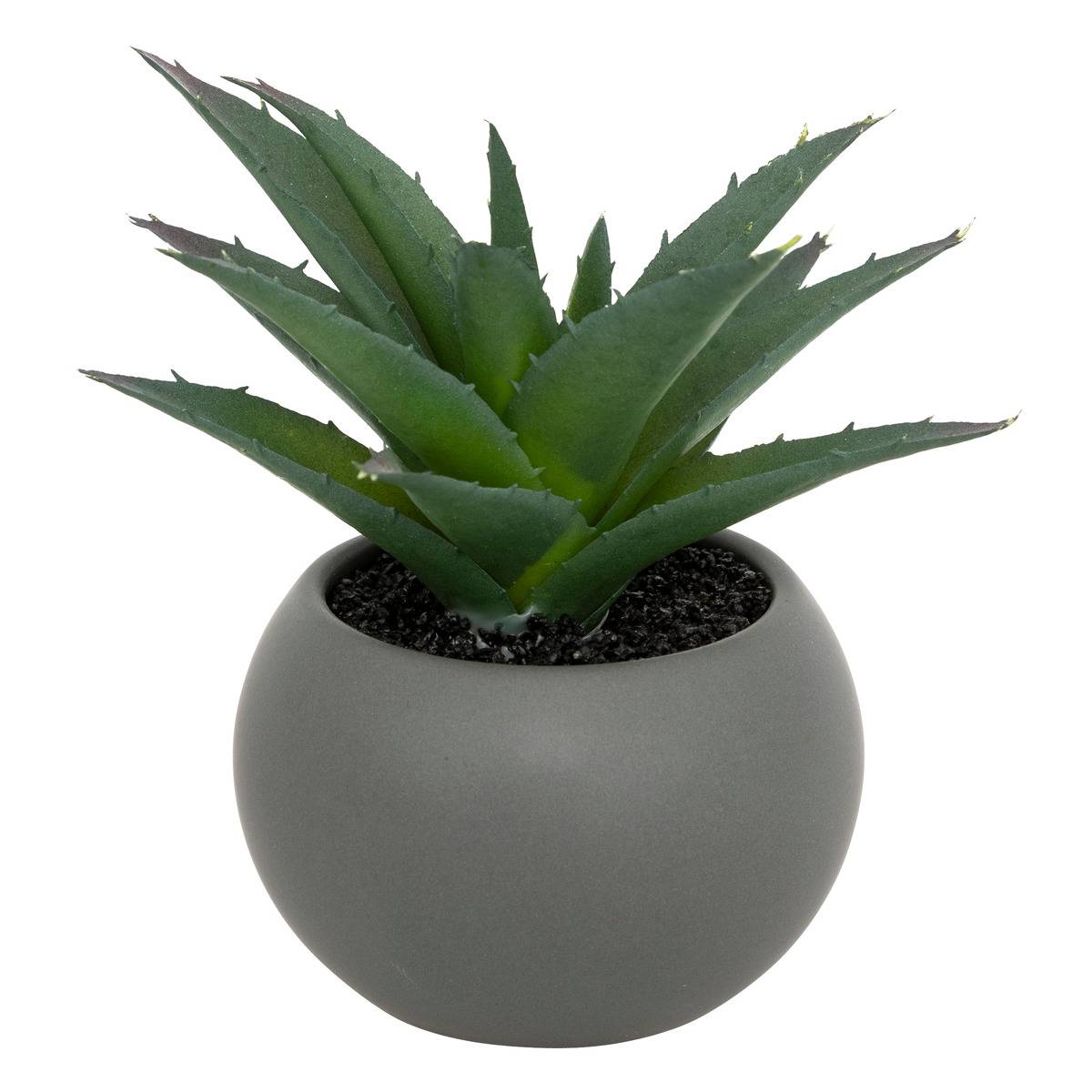 Plante Grasse En Pot H13 Blanc - Atmosphera Créateur d'intérieur - 4