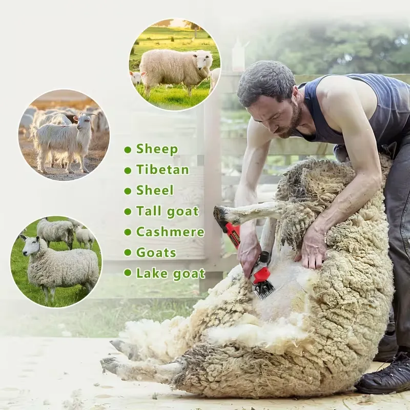 Tosquiadeira elétrica de ovelhas, máquina de tosquiar ovelhas com 6 velocidades ajustáveis, máquina de tosquiar profissional (vermelha) - 4