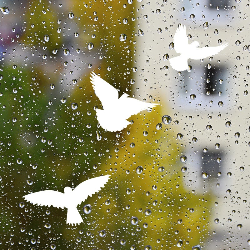 Autocollants anti-collision pour oiseaux de fenêtre, protection de porte en verre et sauvez les oiseaux, réflexion, 11 Pcs, Dégager - 3