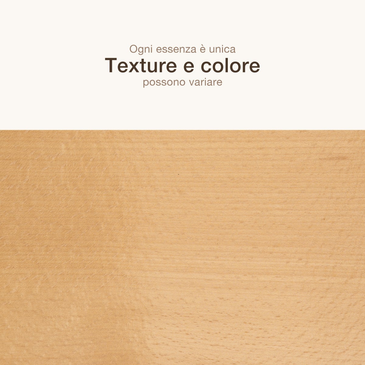 12 FOGLI DI IMPIALLACCIATURA IN LEGNO DI FAGGIO SEMIEVAPORATO - 4