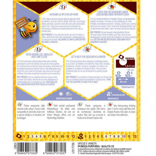 Semi Di Ipomea Blu - Pack Da 50 Semi Per Fiori Decorativi - Foto 2