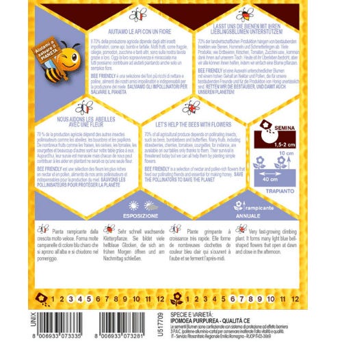 Semi Di Ipomea Blu - Pack Da 50 Semi Per Fiori Decorativi - Foto 2