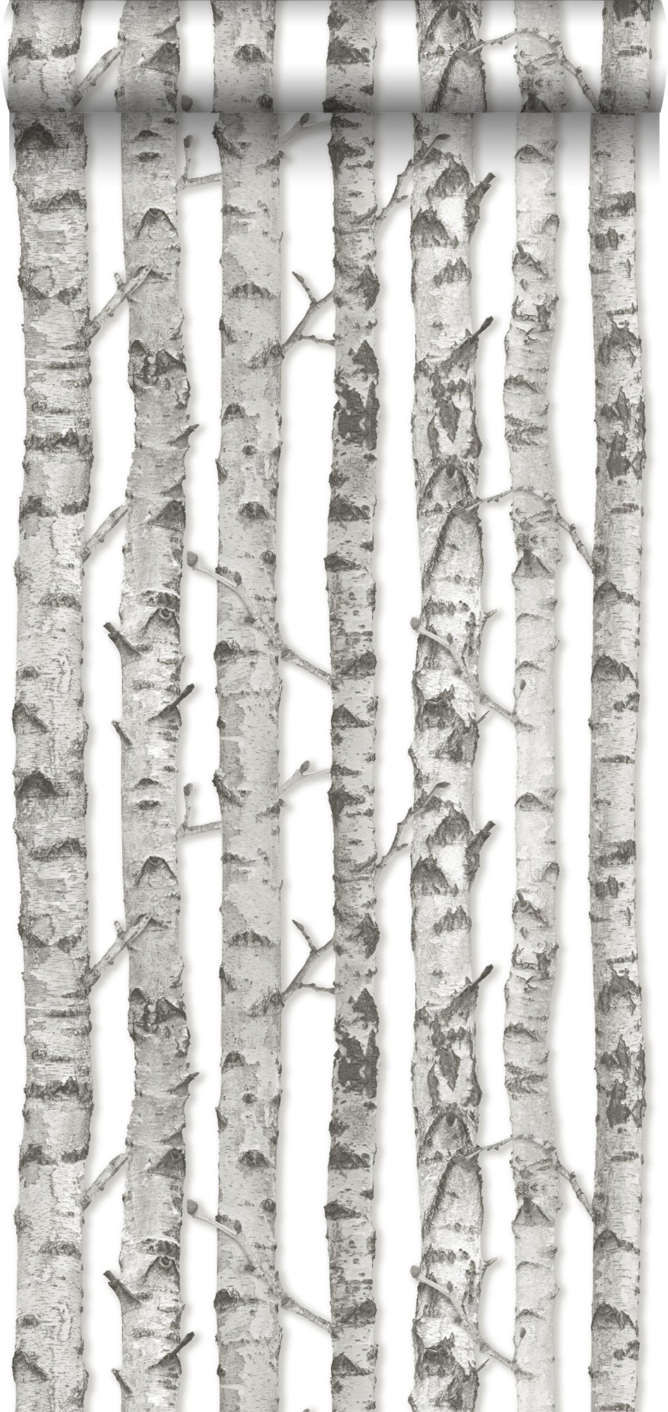 Tapeta drzewa szarymIbiałym - 53 cm x 10.05 m - WALLS4YOU