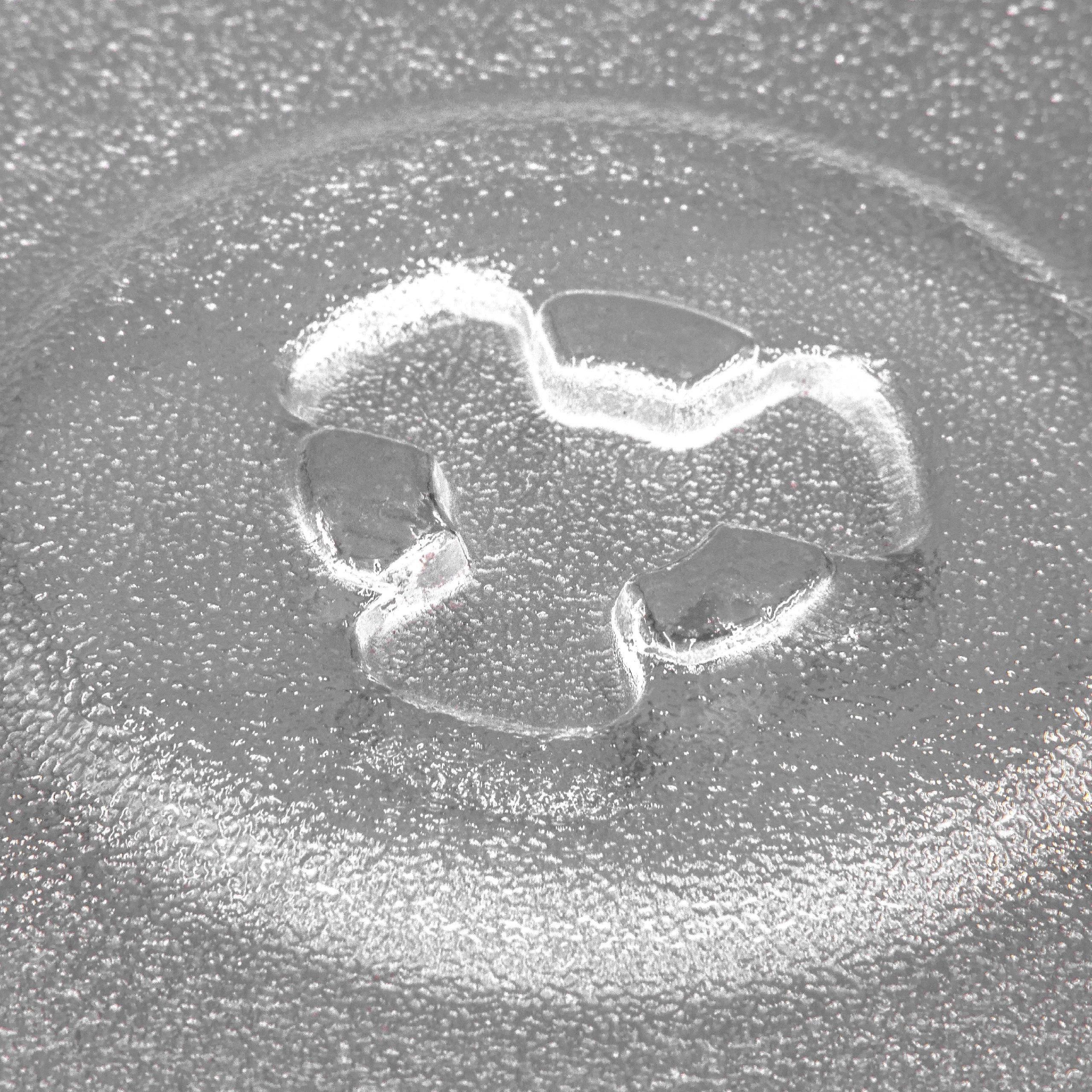 PIATTO DI VETRO PER MICROONDE ORIGINALE WHIRLPOOL 36 Cm 481946678348 - Foto 2