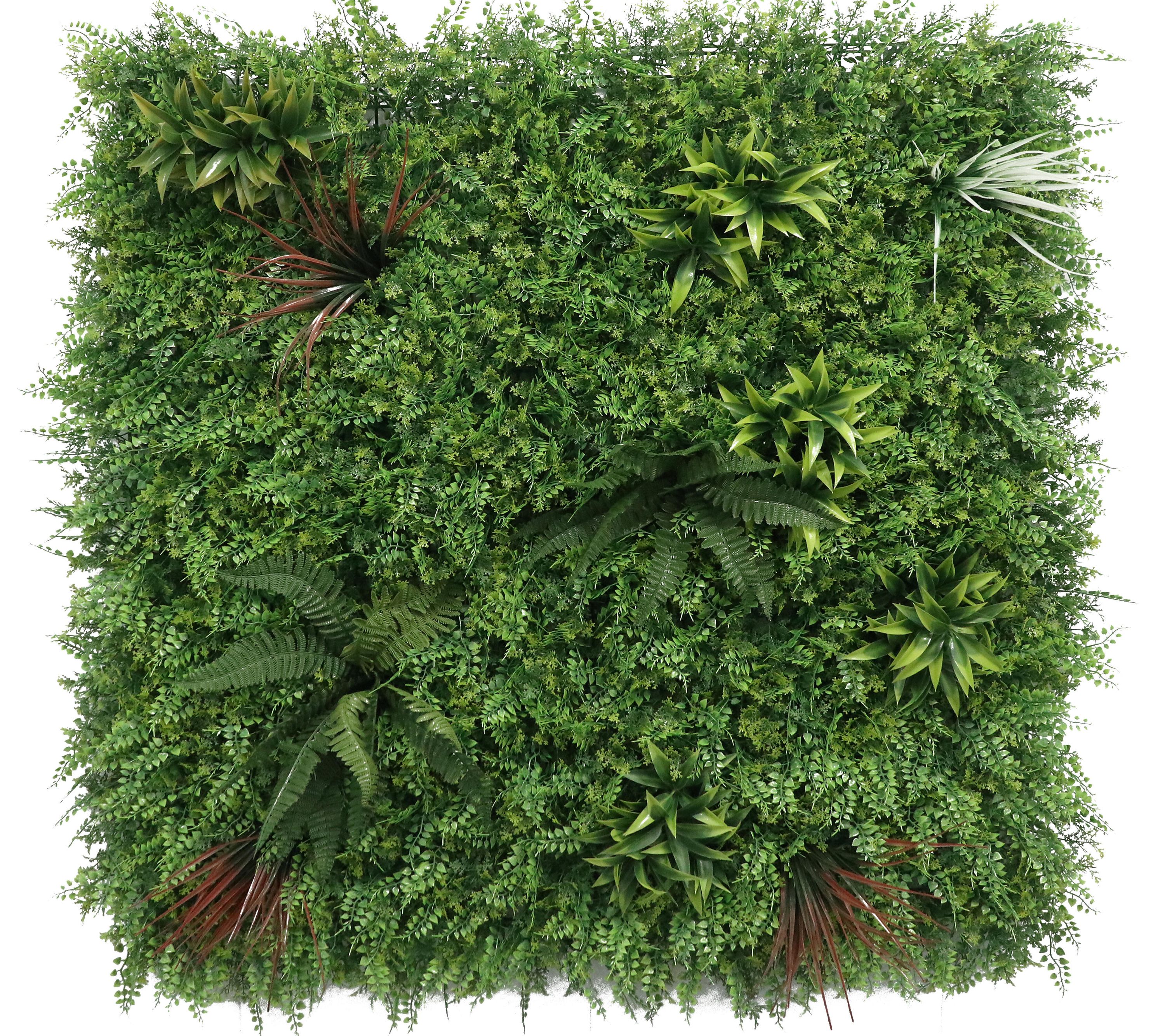 Pionowy ogród z zieloną paprocią tropikalną SINDER 100x100 cm