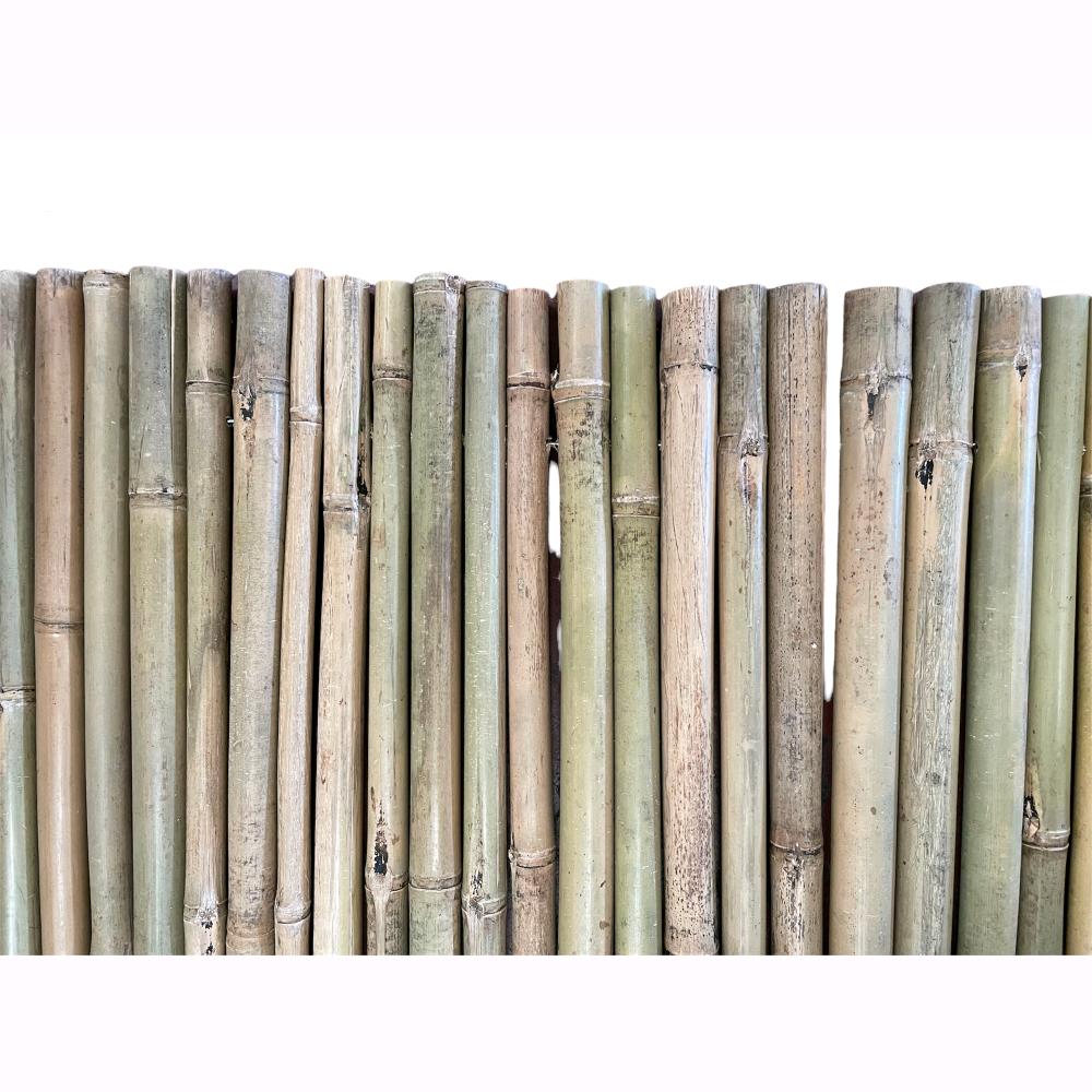 Arella in Canna di Bamboo Naturale River 1,5x3 metri per Recinzioni e Coperture in Rotoli - 3