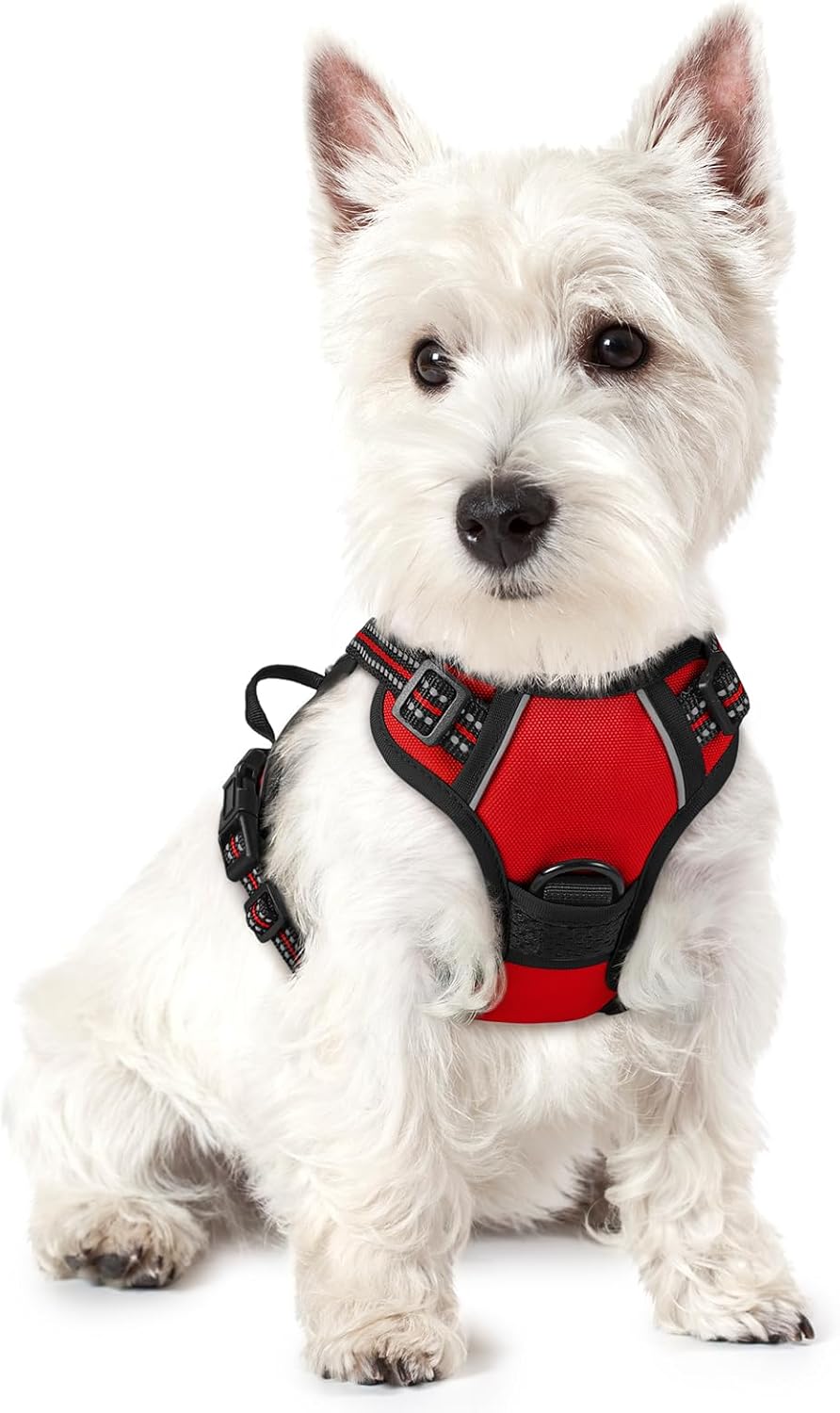 Harnais pour chien rouge taille S poitrine 34-63 cm 1 pièce réglable